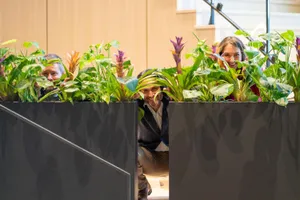 The Ally Co. brand photo containing plants,hiding,funny,peek